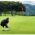 筑波東急ゴルフクラブ攻略法 ３番・４番・５番［関連動画］